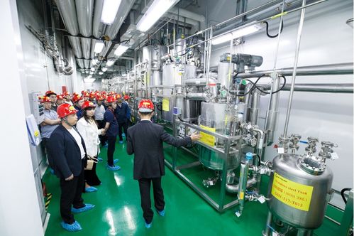 連續(xù)賦能，技術(shù)變現(xiàn) 連續(xù)流技術(shù)推廣現(xiàn)場(chǎng)會(huì)在敦化成功召開(kāi)